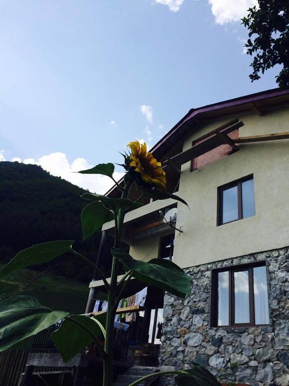 Sakhli Laghamshi Hotel Местия Екстериор снимка